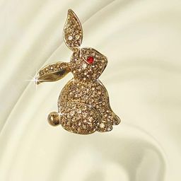SYGA Stones Studded Rabbit-Charm Brooch-image-53