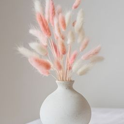 ArteCasa 50 pcs Dried Strawberry bunch-image-71