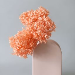 ArteCasa Hydrangea Dried Flower-image-62