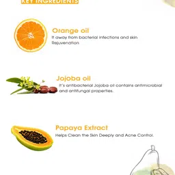 Nutriglow Advanced Organics Sustainable Set of 2 Vitamin C Lightening Bleach 20g Each image 5