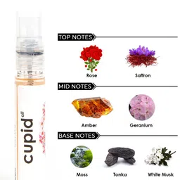 Adiveda Natural Unisex Set Of 9 Perfume Trial  - 12ml Each image 5