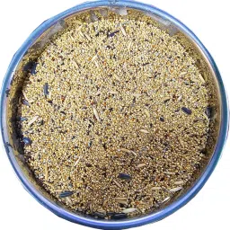 for 11-15 Types of Seed 0.9 kg Dry Adult, Young, Senior Bird Food-68