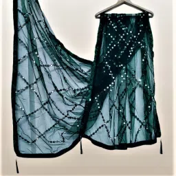 Net Embellished Green Women Dupatta-image-89