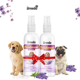 breedo Dog (Pack of 2) Dog Need Deodorant Perfume Spray + Deodorant Perfume Spray Natural Cologne-picture-33