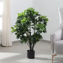 arick decor Schefflera Green Plastic Artificial Plant-picture-13
