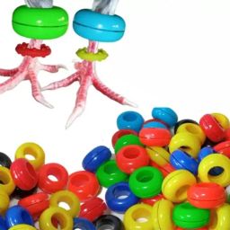 Multicolor Sound Plastic Foot Ring 10 Pcs Bird Shoulder Guard-image-17