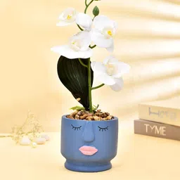 TAYHAA White & Blue Orchids Artificial Flowers & Plants-10