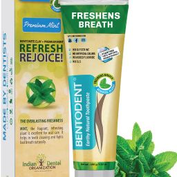 Premium Mint Natural Toothpaste-23
