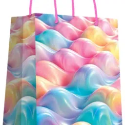 Printed Party Bag-image-39
