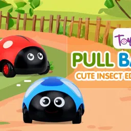 Random Color & Shapes Animals Cars Friction Powered Push & Go Back Toy for Kids-image-10