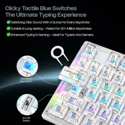 Archer Tech Lab Mechanical Gaming Keyboard with 20 RGB Modes, Full Anti-Ghosting Keys, Bluetooth, Wired USB, Wireless Standard Gaming Keyboard image 4