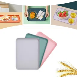 Eco-Friendly Wheat Straw Tray 31cm Set (6pcs) Tray-image-88