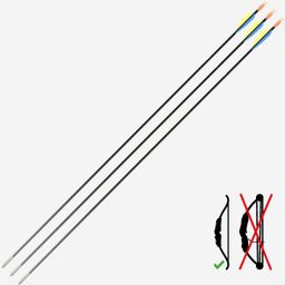 Archery Carbon Arrows Discovery 300 (Pack of 3)-image-79