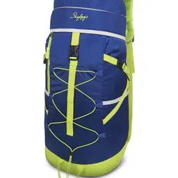 Skybags Padded Backpack image 2