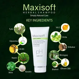 Maxisoft Set of 4 Herbal Shampoo 200ml Each image 3
