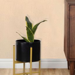 Homesake Black & Gold-Toned Mid Century Modern Small Planter with Stand-37