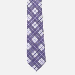 Peter England Men Checked Skinny Tie-image-57