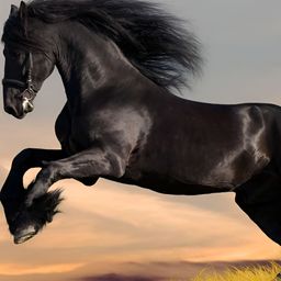 Wallpics Blue & Black Animals Printed Wallpaper-image-83