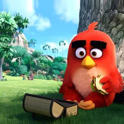 Wallpics Green & Red Angry Bird Printed Self-Adhesive Wallpaper-1
