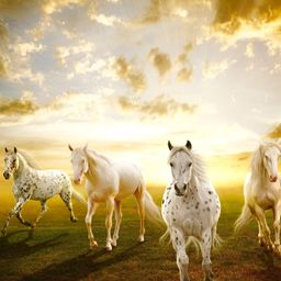 Wallpics Beige Animals Printed Self-Adhesive Wallpaper-picture-44