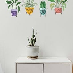 RANGOLI Green Hanging Pots Wall Sticker-40