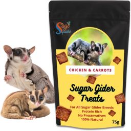 Chicken & Carrot Sugar Glider Treat, Crunchy Protein Rich Snack, 75g Chicken Hamster Treat-image-30