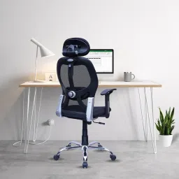 Oligo With 3 Years Warranty High Back Ergonomic Revolving Nylon Office Executive Chair-image-58