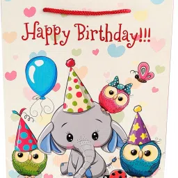 Printed Party Bag-10