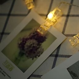 ENORMITY Yellow & White Phot Clip Shape Bulb String Lights-36