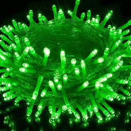 SPARK WORLD Green Rice Shaped  String Lights-49