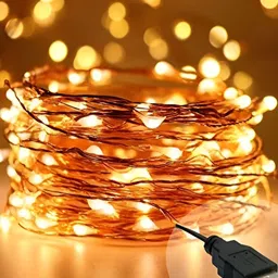 ENORMITY Rice Shape String Lights-19