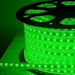 ENORMITY Green Rice Shape String Lights image 1