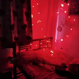 ENORMITY Red Rice Shape String Light image 3
