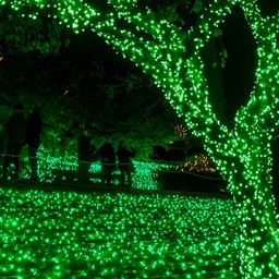 SPARK WORLD Green Rice Shaped  String Lights image 3