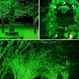 SPARK WORLD Green Rice Shape LED Fairy String Lights image 4