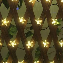 SPARK WORLD Yellow Flower Shape String Lights image 3