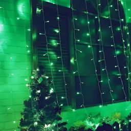 SPARK WORLD Green Rice Shaped Bulb String Lights image 3
