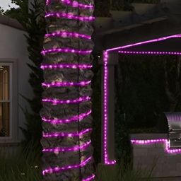 ENORMITY 800 Pink Rope LED String Lights image 2