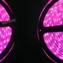 Pixofeet 2-pcs Pink 60 Bulb LED String Lights image 3