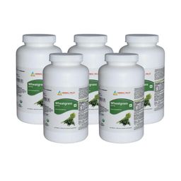 Herbal Hills Wheatgrass Tablets (500 Count Pack of 5)-58