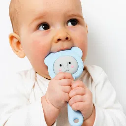 BPA Free Silicone Baby Teether / Rattle Sound (Bear-Shaped 3–12 Months) Teether-picture-23