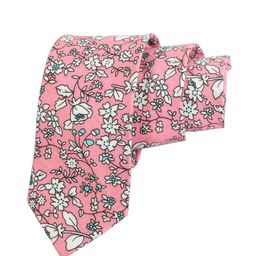 Alvaro Castagnino Men Pink & White Printed Formal Skinny Tie-image-20