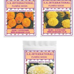 Flower Seeds Hybrid F1 Marigold Organge -Marigold white -Marigold Yellow Seed-image-9