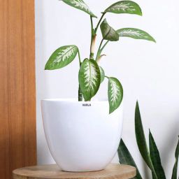 harla arts Echoing Eternity Slim White Porcelain Floor Planters-picture-39