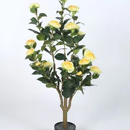 Home Bloom Green 1 Pieces Rose Artificial Plant With Pot-image-27