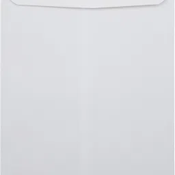 Envelope 11X 5 inch White Letter Size Envelopes (100 pcs) Envelopes-18