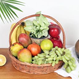 Mix Fruit Plant Basket-image-16