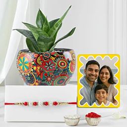 Serene Greens N Pearl Rakhi Combo-image-62