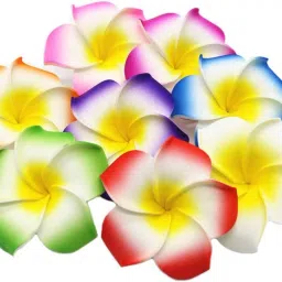 12 Pcs Artificial White Fake Foam Hawaii Frangipani Beach Floating Flowers Multicolor Frangipani Artificial Flower-image-49