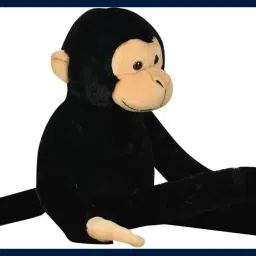 Teddy-Hanging Black Monkey Soft Toy For Kids - 42 cm-10